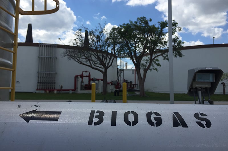 Biogas infrastructure at Broward County Wastewater Treatment Plant supporting renewable energy generation and cogeneration operations.