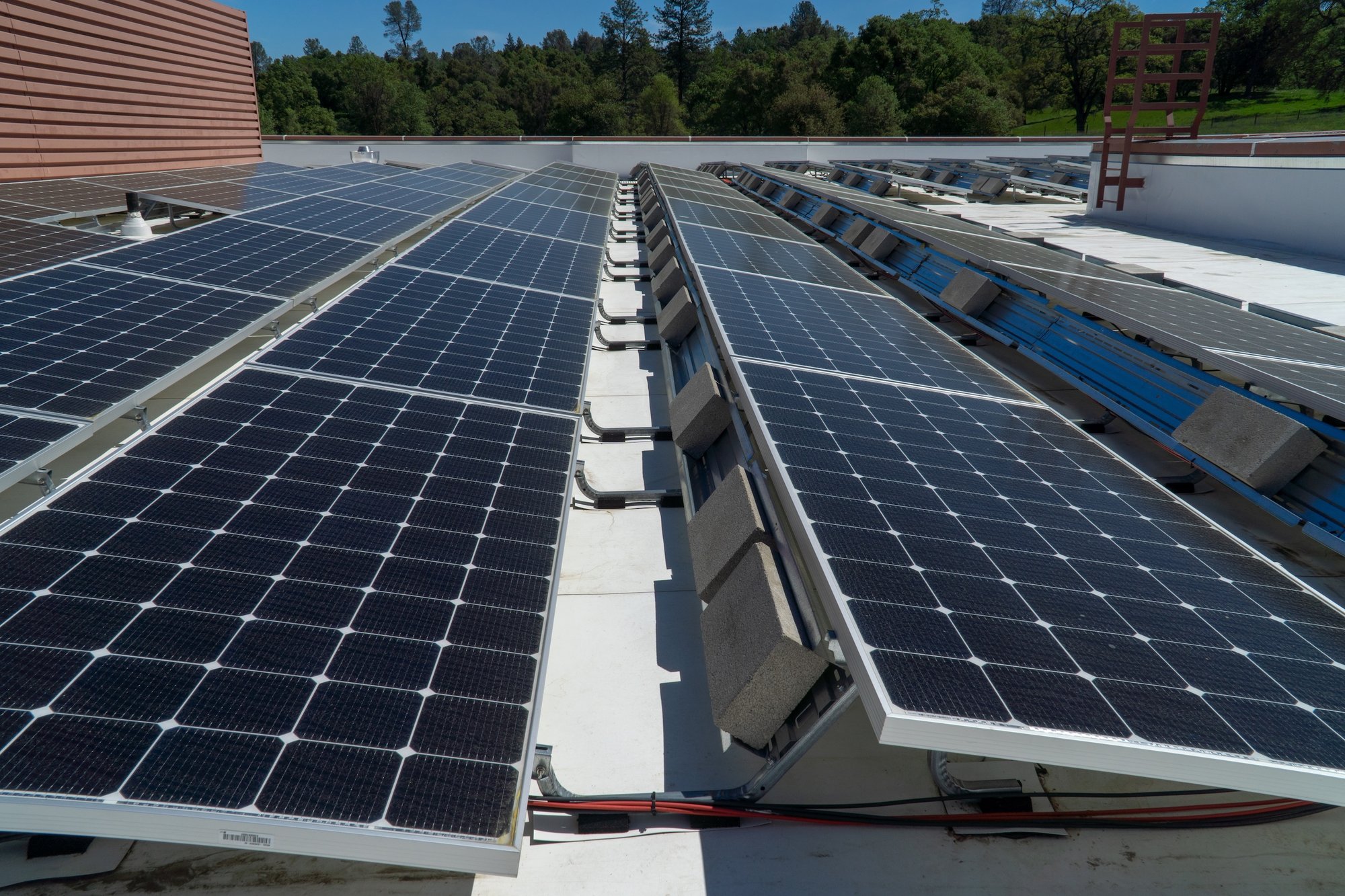 Rows of rooftop solar panels installed on a healthcare facility, generating on-site renewable energy to reduce operating costs and improve long-term energy reliability.