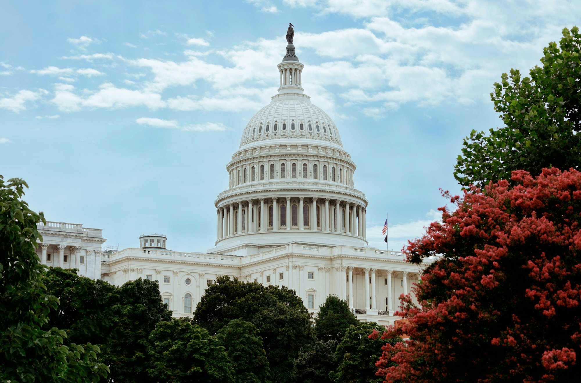 U.S. Capitol building in Washington, D.C., framed by green and red-leafed trees under a clear blue sky, representing federal government and public sector leadership.